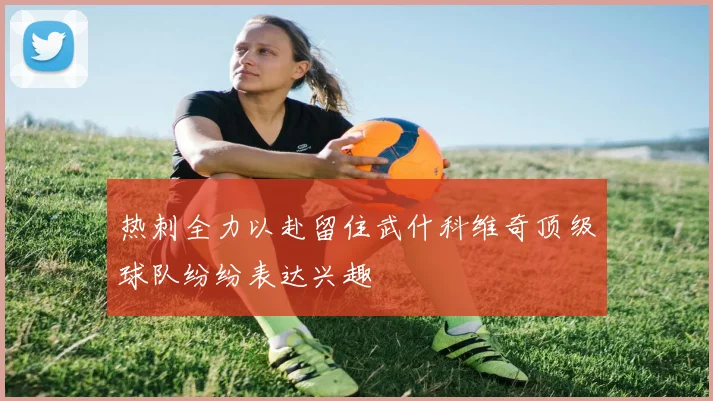 热刺全力以赴留住武什科维奇顶级球队纷纷表达兴趣